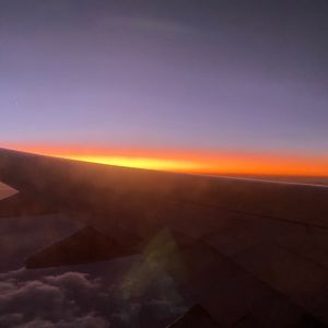 Meet your Posher, Abbey